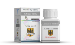 wzJkqbhWErE6lYiMUAYL-1